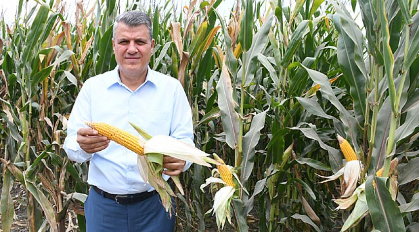 'Bu karar mısır üreticisinin ölüm fermanıdır'