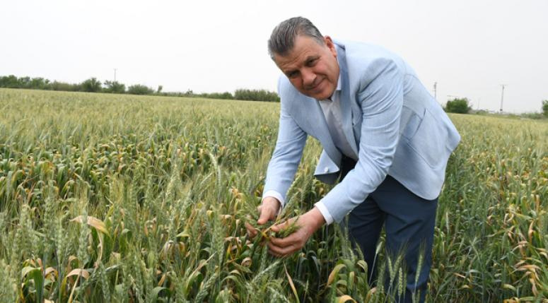  'Buğday taban fiyatını hemen açıklayın'