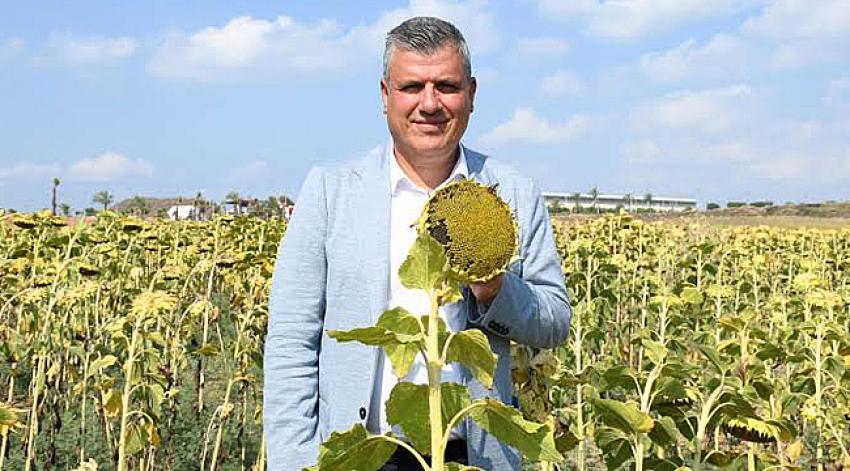 'Ayçiçeği fiyatı en az 15 lira olmalı'