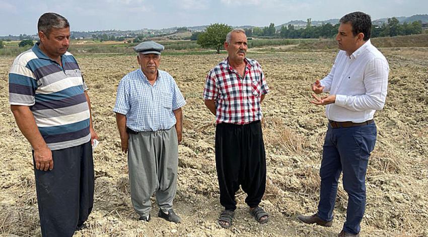 Ecrimisil fiyatları uçtu