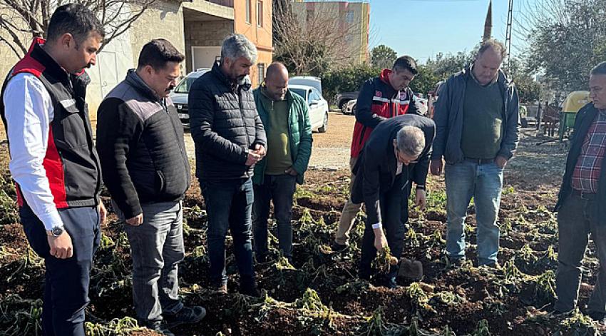 Don afetinin hasar tespiti devam ediyor