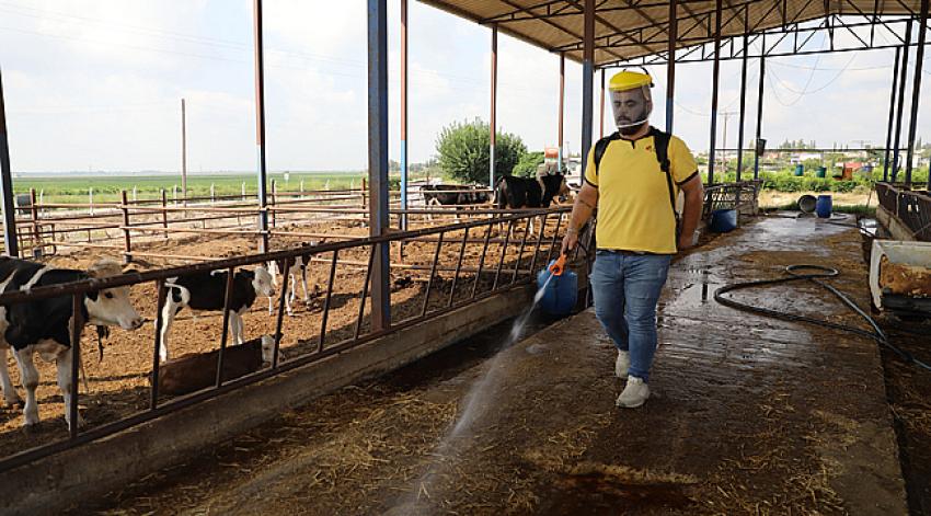 Yüreğir'de vektörle mücadele başlatıldı